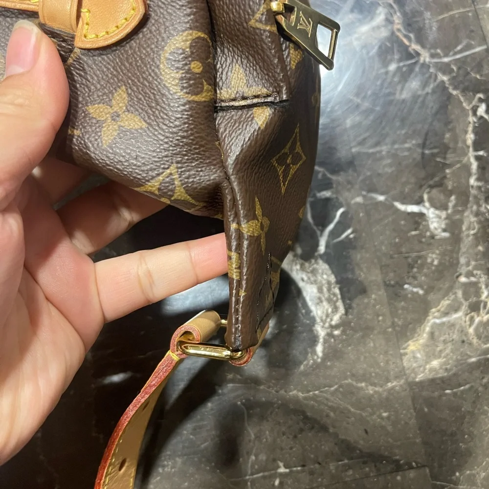 Monogram Bumbag - Picture 7 of 10